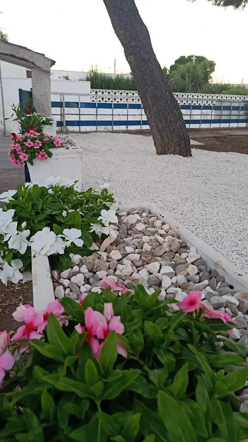 I Girasoli Srls 바리 B&B
